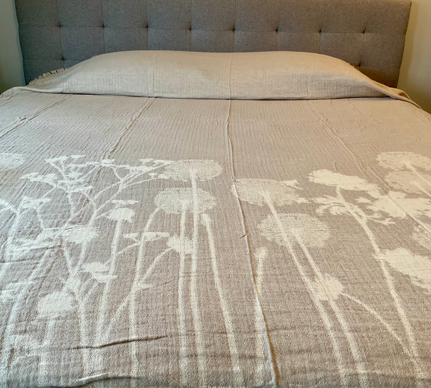 Muslin Cotton - Dandelions - 2 Colors